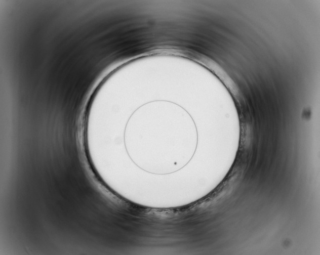 X0000103450955200810241142