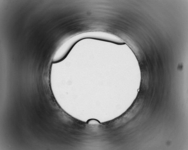 X0000103450956200810241142