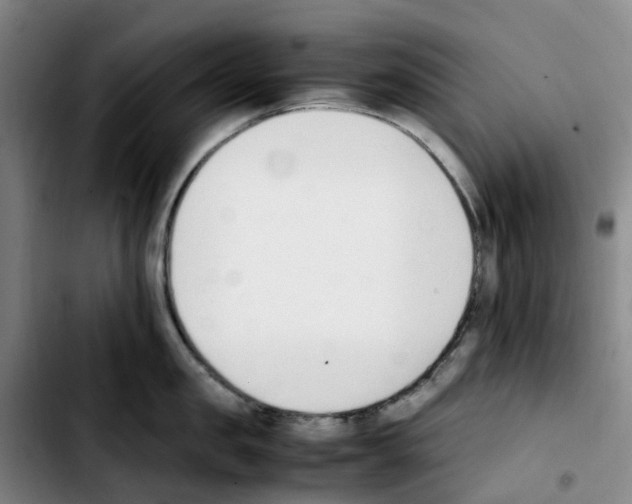 X0000103450957200810241142