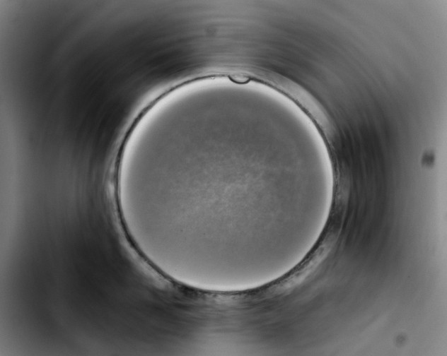 X0000103450958200810241142