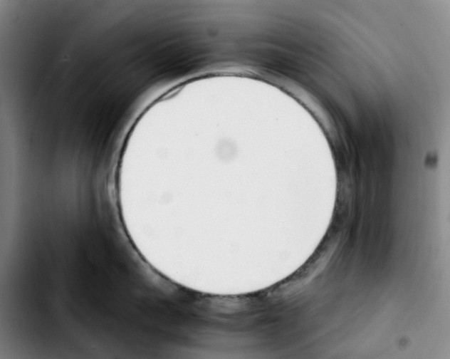 X0000103450959200810241142