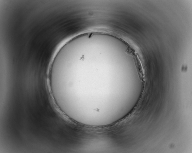 X0000103450960200810241142