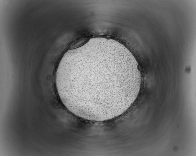 X0000103450961200810241141