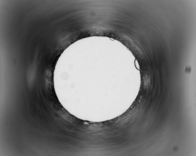 X0000103450964200810241141