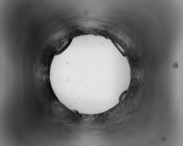 X0000103450965200810241141