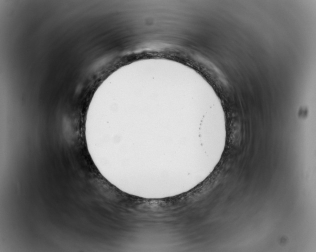 X0000103450966200810241141