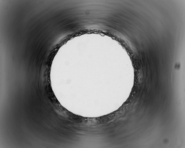 X0000103450968200810241141