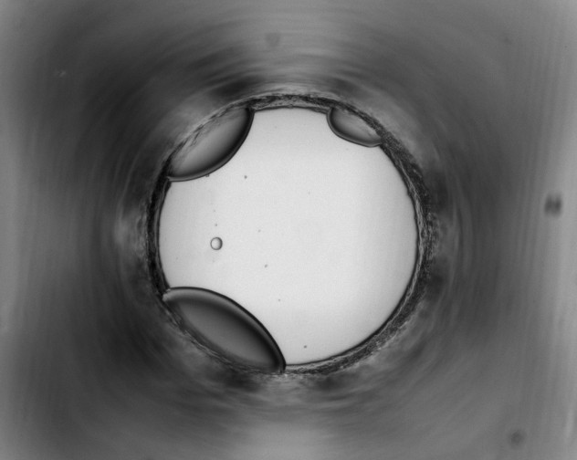 X0000103450969200810241141