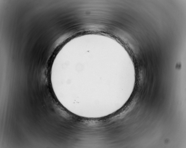 X0000103450970200810241141