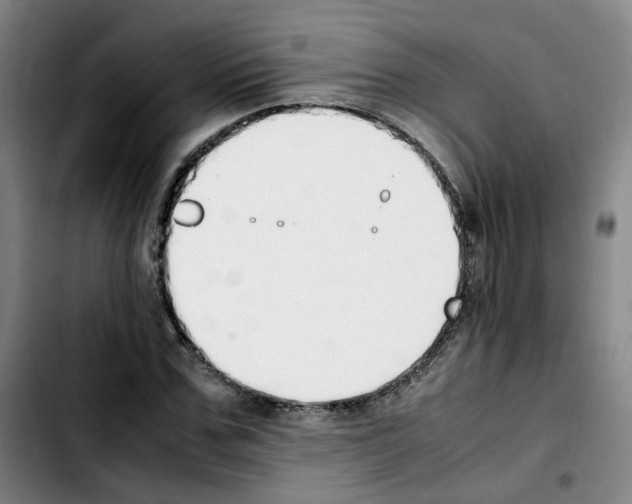 X0000103450971200810241141