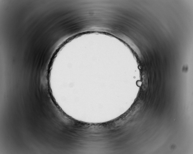 X0000103450972200810241141