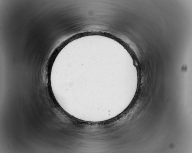 X0000103450973200810241141