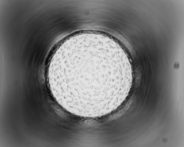 X0000103450974200810241141