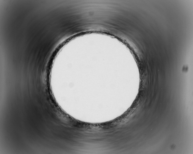 X0000103450975200810241141