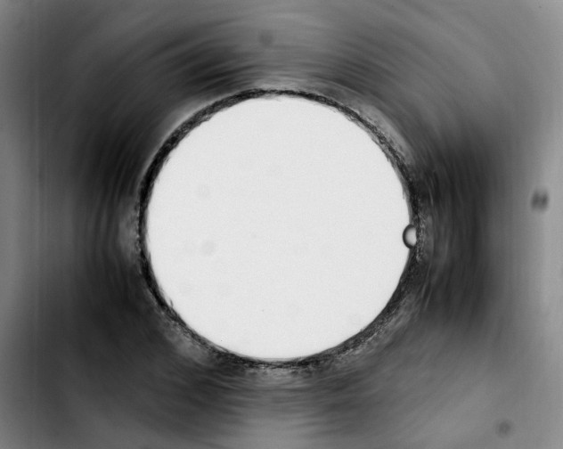 X0000103450976200810241141