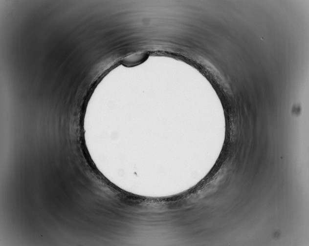 X0000103450977200810241141