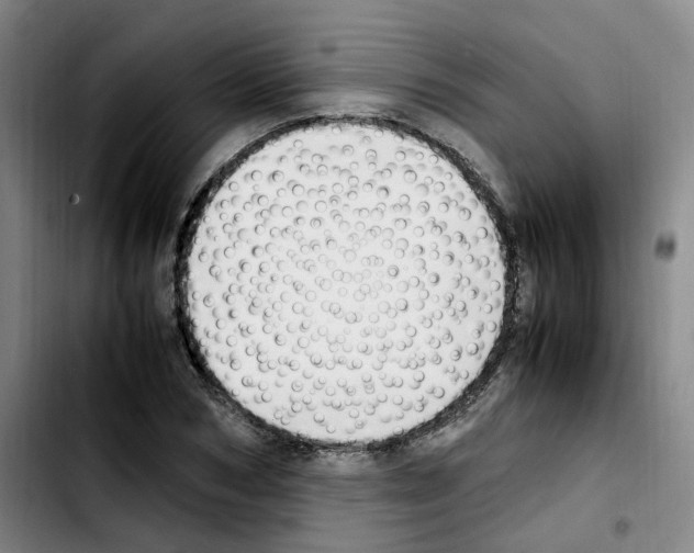 X0000103450978200810241141