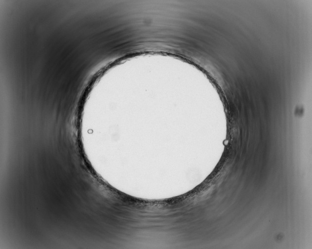 X0000103450979200810241141