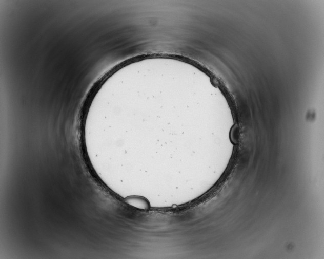 X0000103450981200810241141