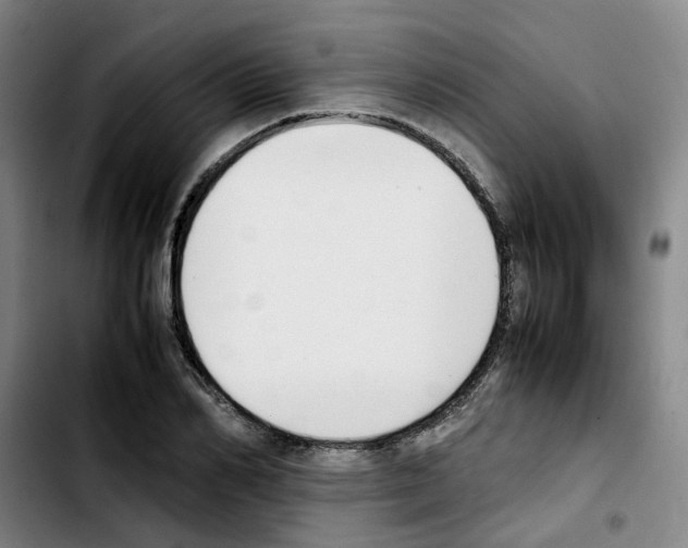 X0000103450982200810241141