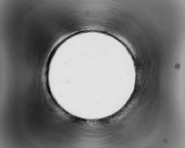 X0000103450983200810241141