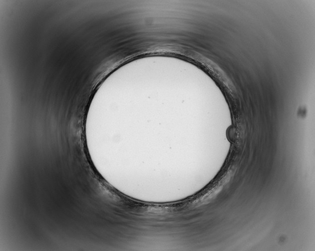 X0000103450985200810241141