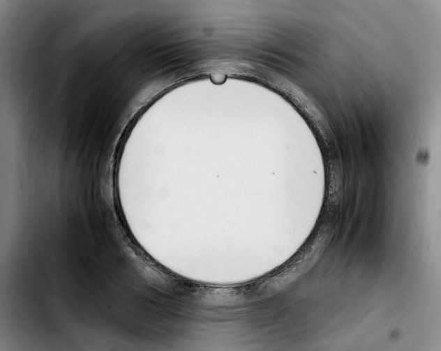 X0000103450986200810241141