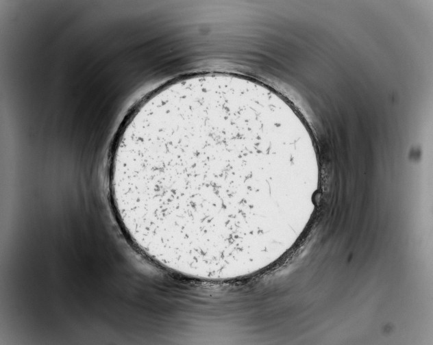 X0000103450987200810241141