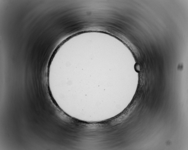 X0000103450988200810241141