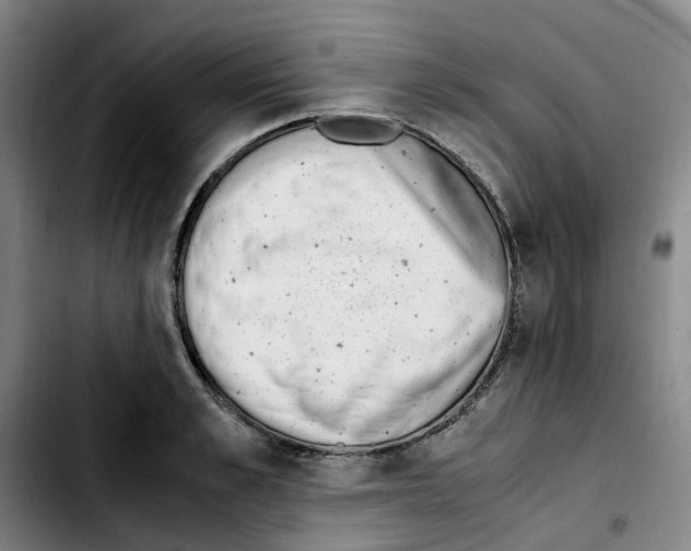 X0000103450989200810241141