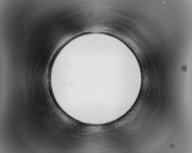 X0000103450990200810241141