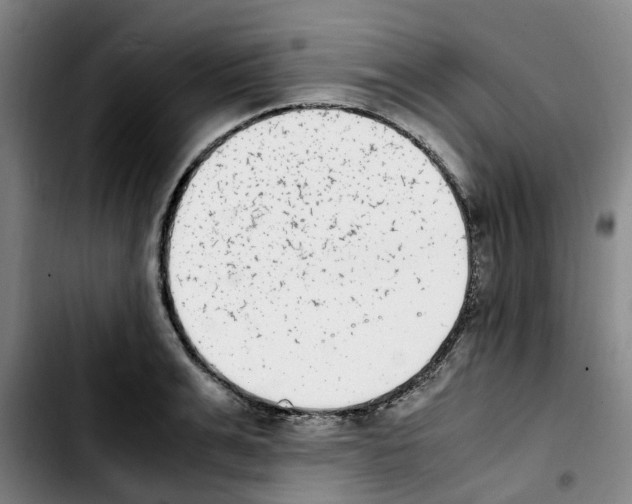 X0000103450991200810241141