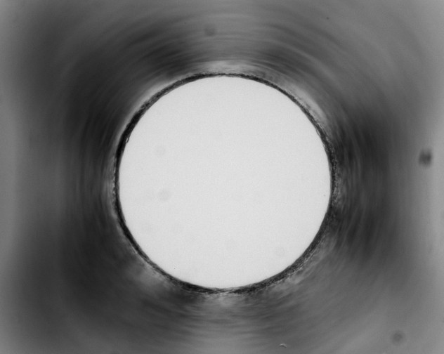 X0000103450992200810241141