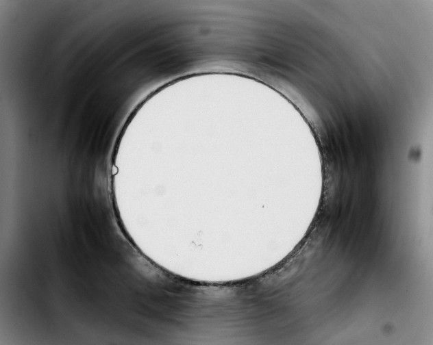 X0000103450996200810241141