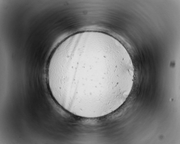 X0000103450998200810241141