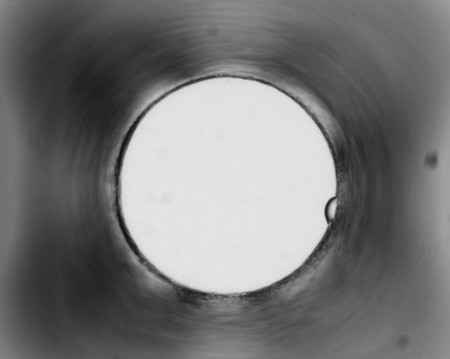 X0000103450999200810241141