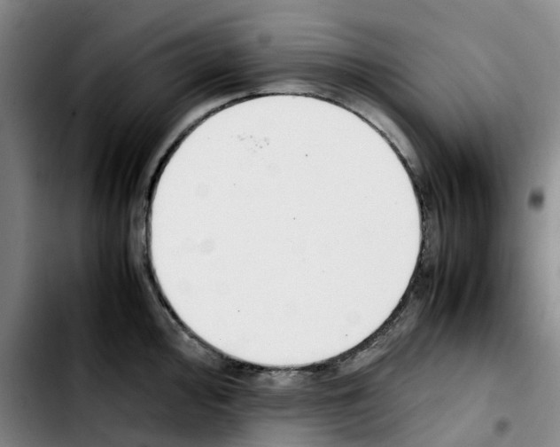 X0000103451000200810241141