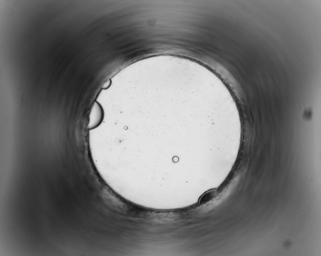 X0000103451001200810241141