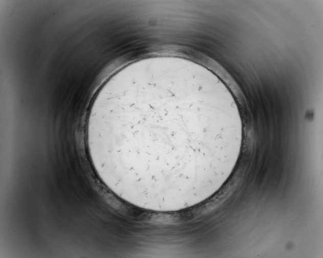 X0000103451002200810241141