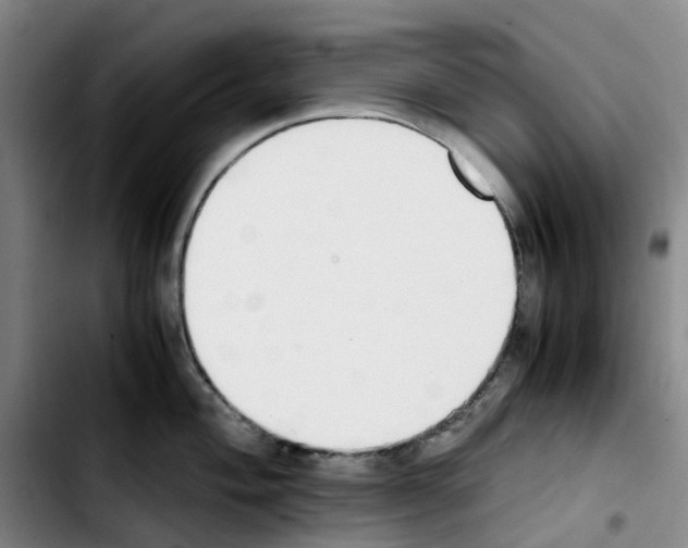 X0000103451004200810241141