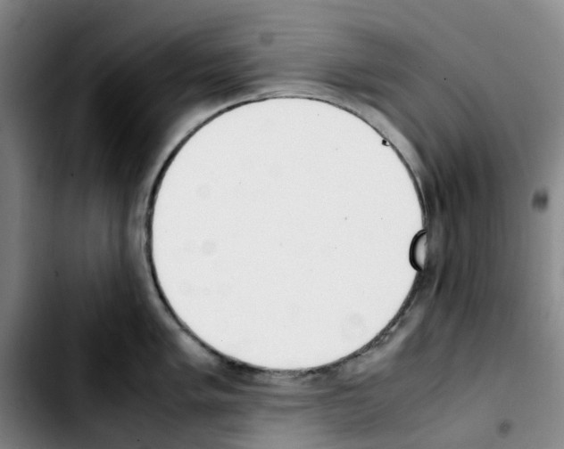 X0000103451005200810241141