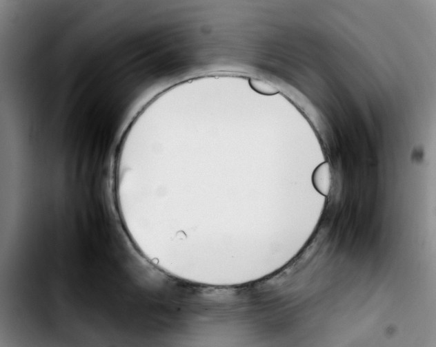 X0000103451006200810241141