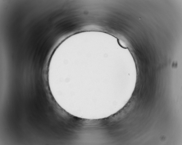 X0000103451008200810241141