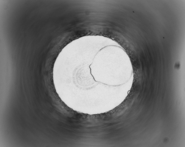 X0000103451009200810241140