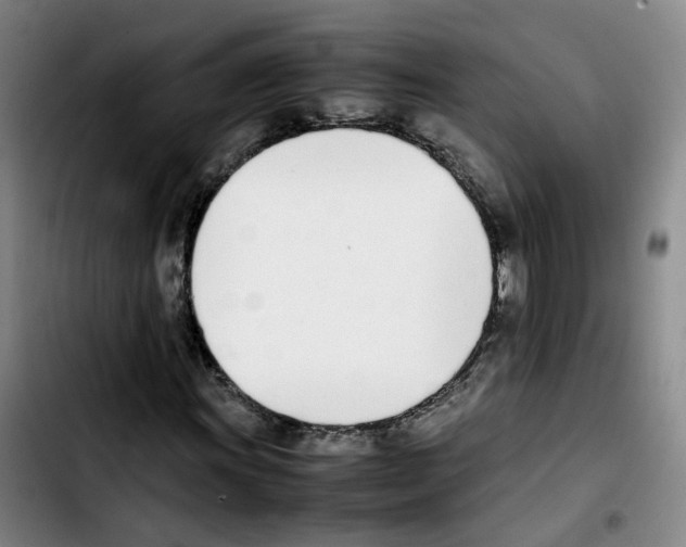 X0000103451011200810241140