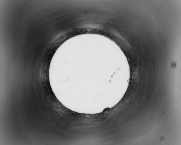 X0000103451014200810241140