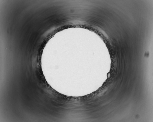 X0000103451016200810241140