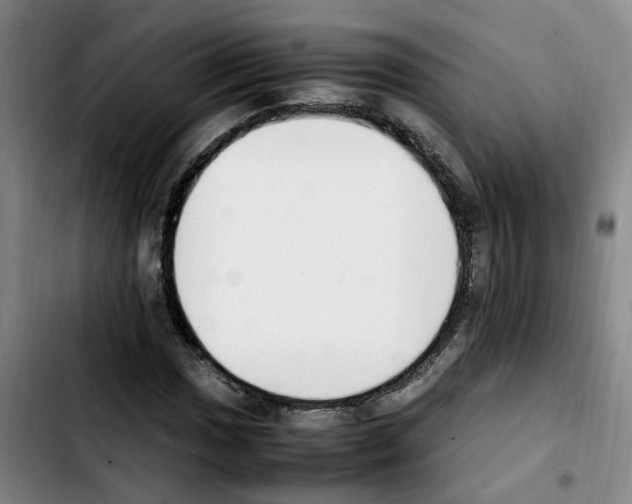 X0000103451017200810241140