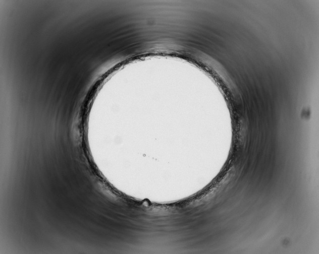 X0000103451018200810241140