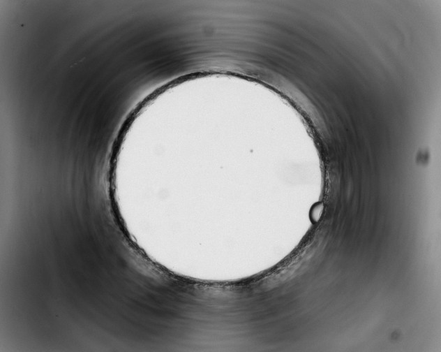 X0000103451020200810241140